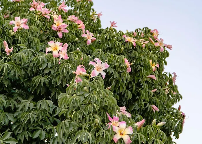 Chivaga Vicino Al Mare Appartement