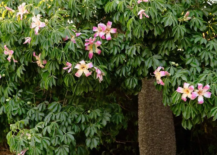 Chivaga Vicino Al Mare Appartement Triscina