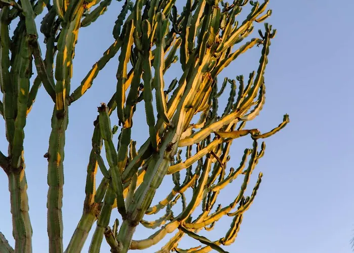 Chivaga Vicino Al Mare Triscina