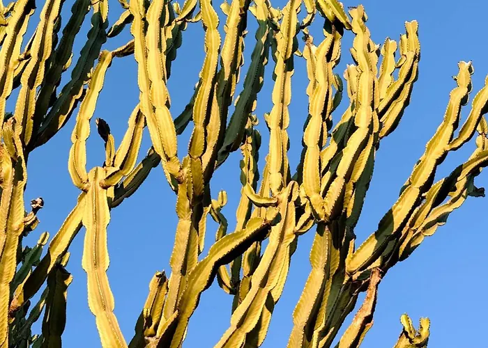 Appartement Chivaga Vicino Al Mare